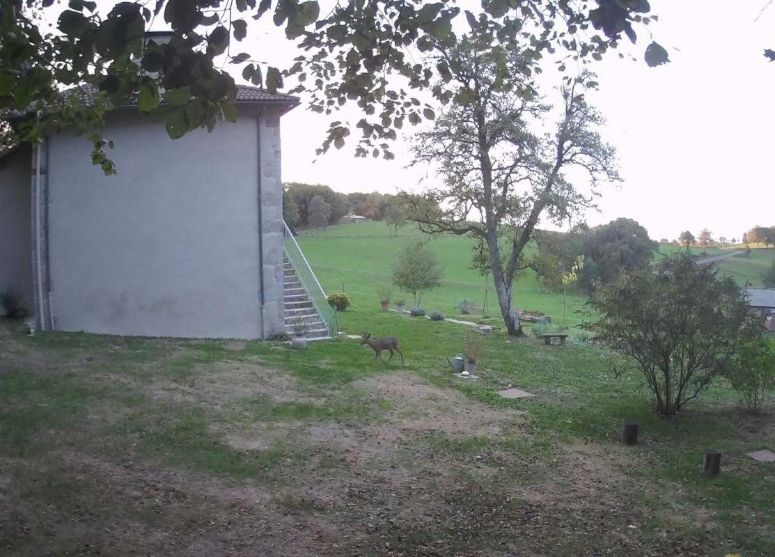 photo 34
