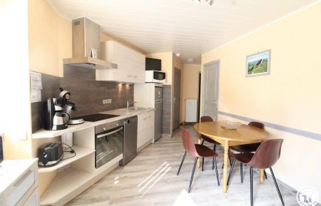 G&icirc;te n&deg;412 Neussargues-Moissac - Cantal - Pi&egrave;ce de vie avec coin-cuisine am&eacute;nag&eacute; enti&egrave;rement &eacute;quip&eacute; et espace repas
