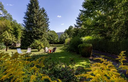G&icirc;te n&deg;111 Thi&eacute;zac - Cantal - Le parc vu de la maison